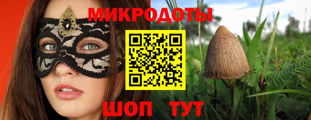 Псилоцибиновые грибы Psilocybine cubensis Камень-на-Оби